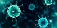 شناسایی داروی جدید موثر در برابر ویروس کرونا