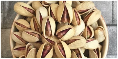 اروپا به‌زودی درباره واردات پسته ایران تصمیم می‌گیرد
