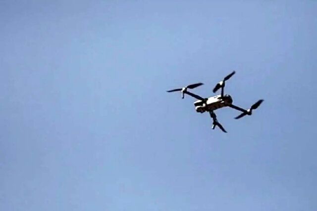 پرواز هرنوع ریزپرنده در پاکستان ممنوع شد