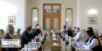 اظهارنظر وزیر امورخارجه هند بعد از دیدارش با ظریف
