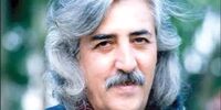 نوشته معنادار روی سنگ قبر شاعر مشهور+عکس