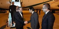وزیر امور خارجه کشور وارد استانبول شد