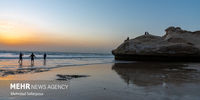 طبیعت بکر خلیج فارس  |تصاویر
