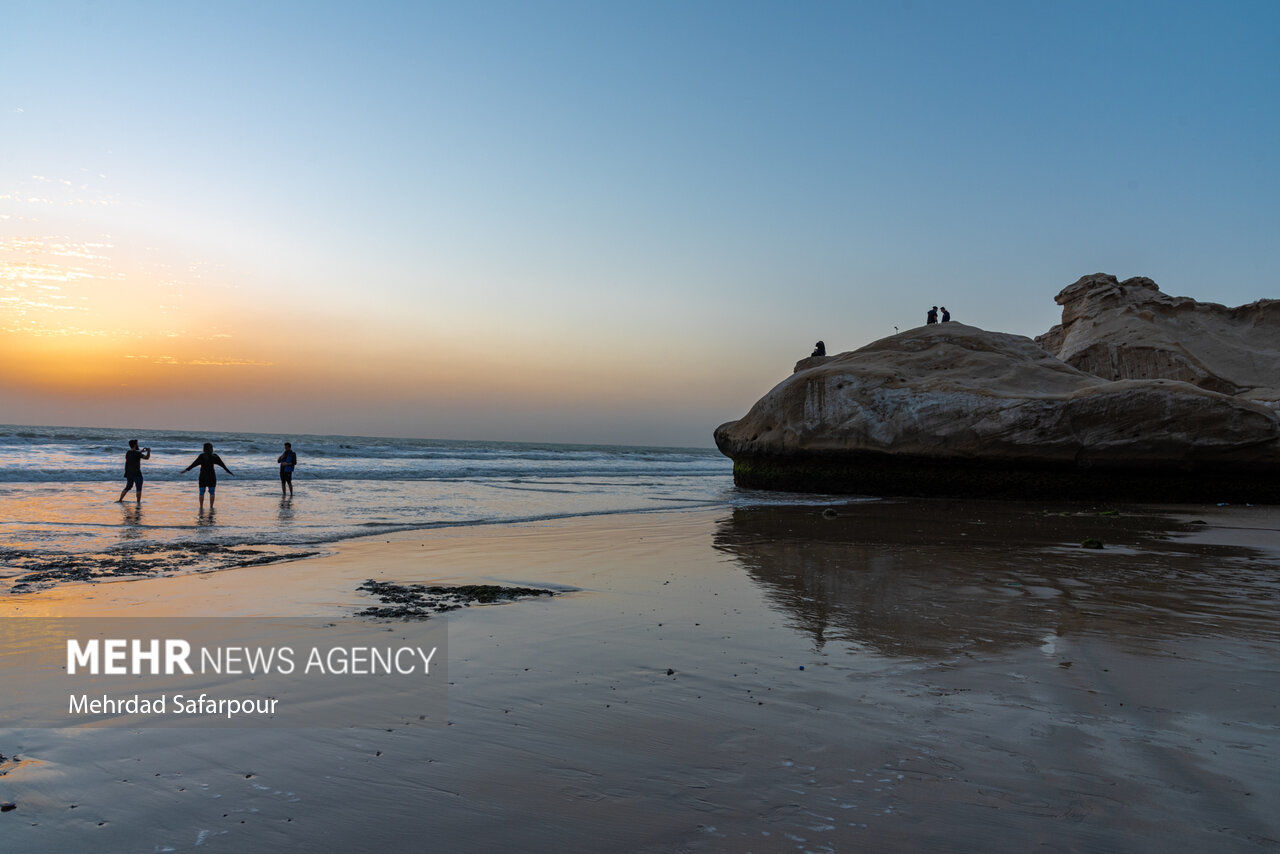 طبیعت بکر خلیج فارس  |تصاویر