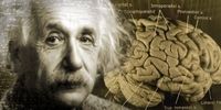 محل نگهداری مغز آلبرت اینشتین را ببینید+عکس