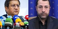 نقد جدید همتی درباره آمارهای بانک مرکزی