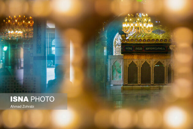 61643753_احمد-ظهرابی-23