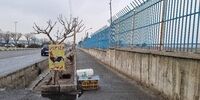 این جا خودرو را خون مالی می‌کنند!

