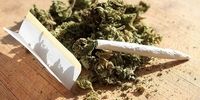 اعلام موضع ستاد مبارزه با مواد مخدر ایران درباره مصرف «ماری‌جوآنا»و «کانابیس»