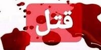 تاکید دستگاه قضا بر برخورد سریع با عوامل قتل زن اهوازی