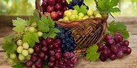 خواص باورنکردنی این میوه تابستانی برای پوکی استخوان