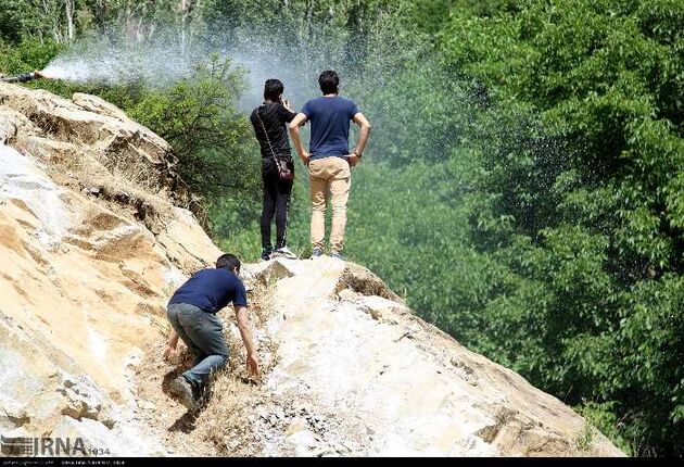 جشنواره توت فرنگی روستای شیان