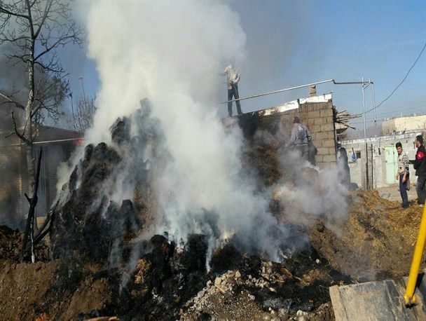 فیلم آتش گرفتن انبار علوفه در روستای "قپچاق" 