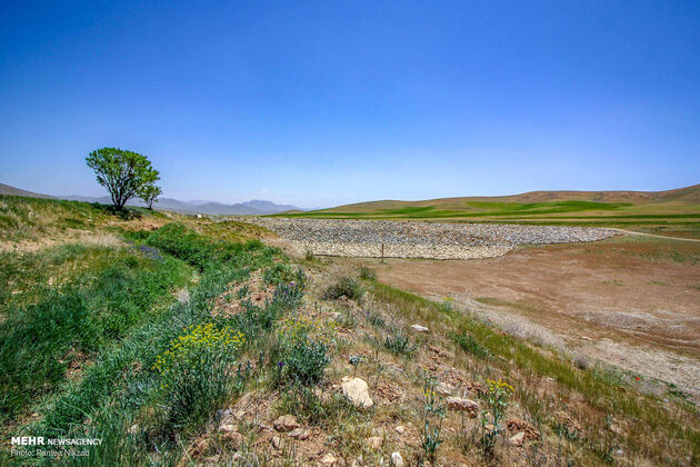 3766103_IMG_1977