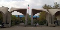 جواب منفی انسیه خزعلی جنجال به پا کرد/ دعوای دانشگاه تهران و معاونت زنان ریاست جمهوری بالا گرفت+ فیلم