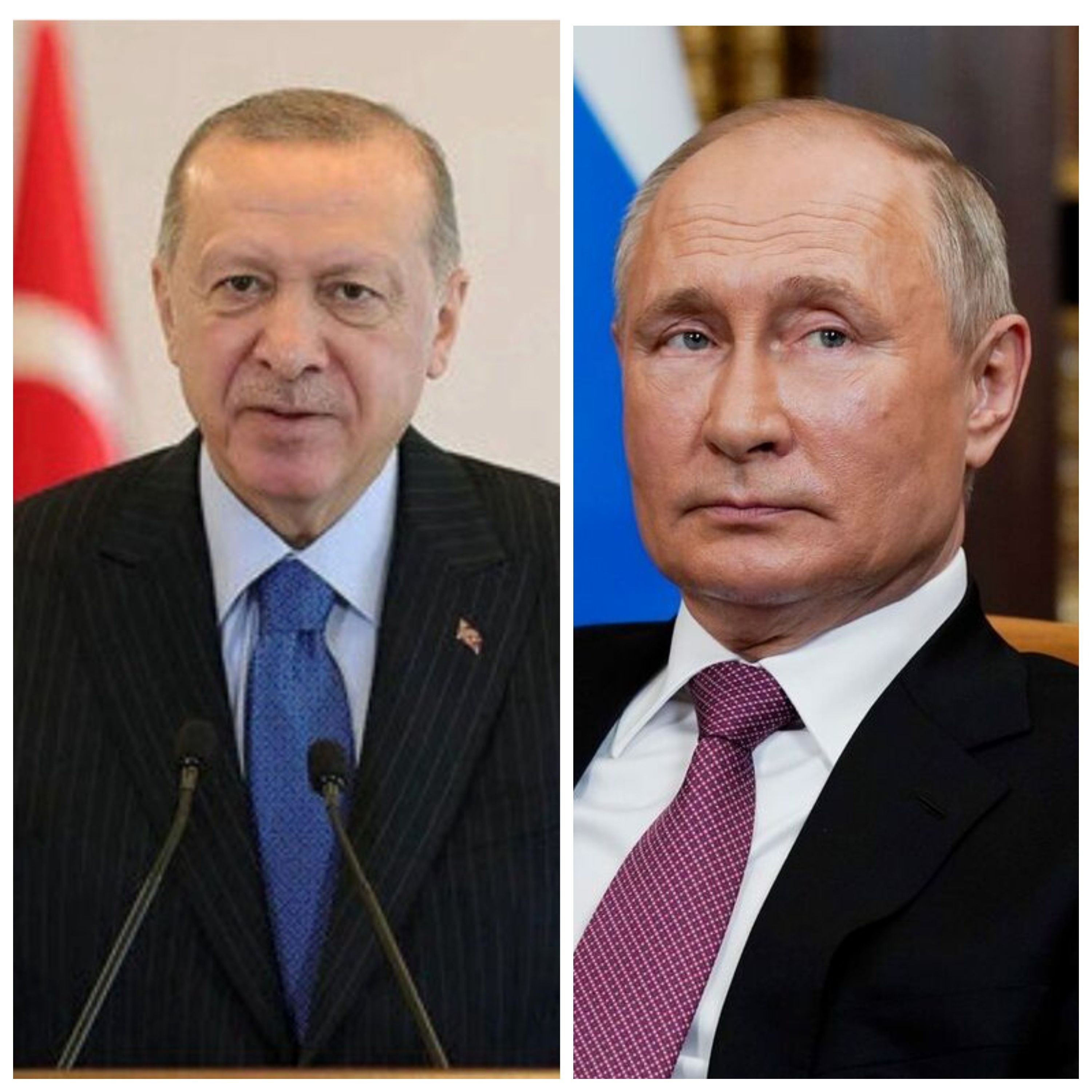 گفت‌وگوی تلفنی اردوغان و پوتین/ نگرانی روسیه و ترکیه درباره اوضاع وخیم غزه
