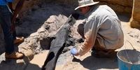 کشف قدیمی‌ترین خانه ساخته شده توسط انسان با عمر نیم میلیون سال/ عکس
