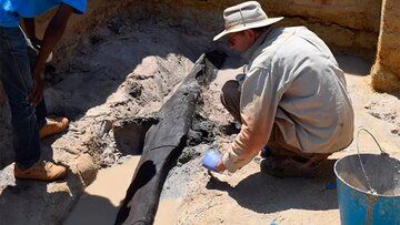 کشف قدیمی‌ترین خانه ساخته شده توسط انسان با عمر نیم میلیون سال/ عکس