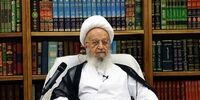 نظر آیت‌الله مکارم درباره وارد شدن به حوضچه گل