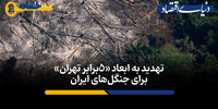 تهدید به ابعاد «۵ برابر تهران»در جنگل های ایران | آینده شهرها و محیط‌زیست ایرانی‌ها چه می شود؟+ فیلم