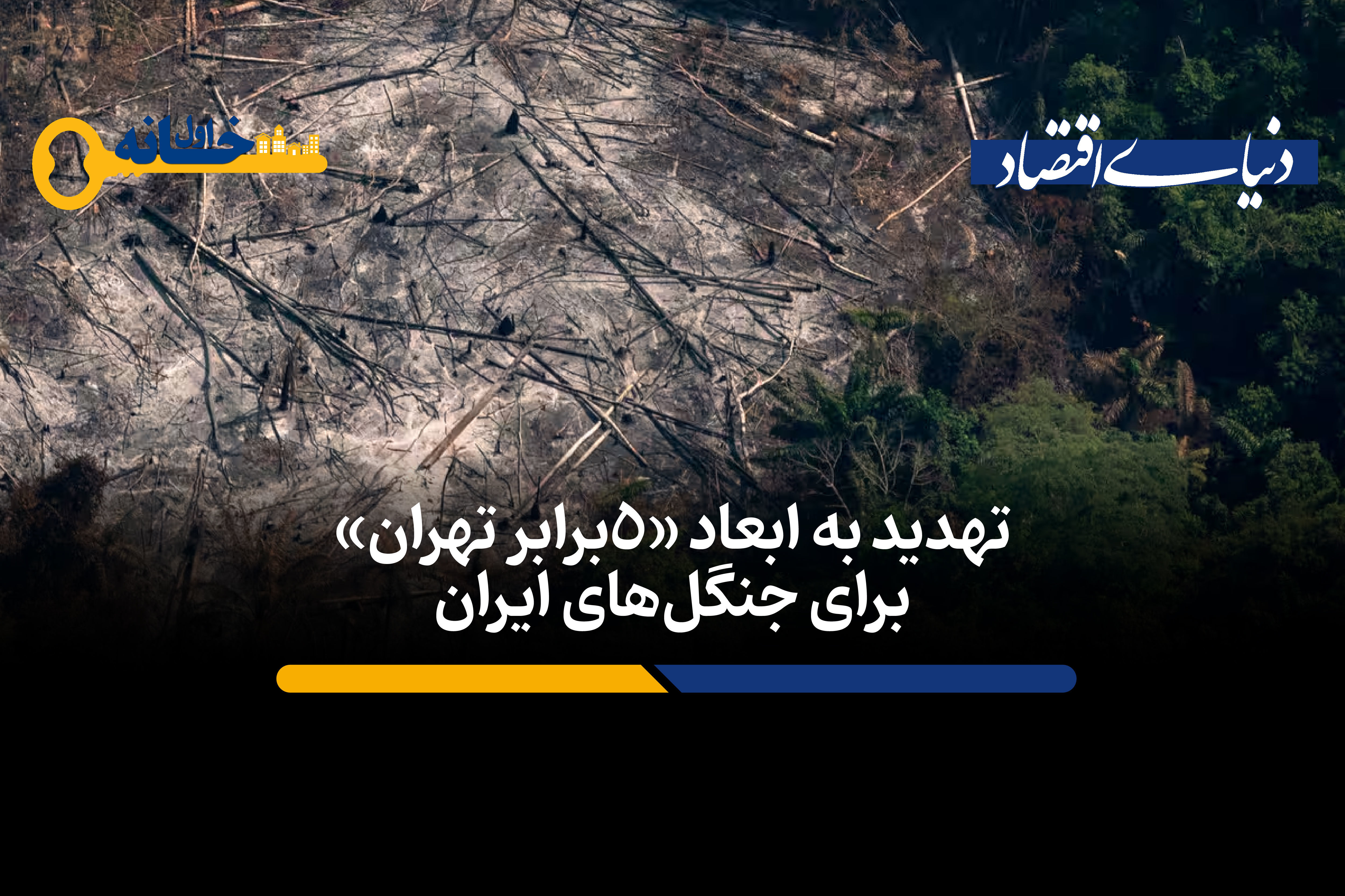 تهدید به ابعاد «۵ برابر تهران»در جنگل های ایران | آینده شهرها و محیط‌زیست ایرانی‌ها چه می شود؟+ فیلم