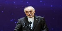 علی‌اکبر صالحی: ایران شاید قدرت اقتصادی اول جهان نباشد، اما در عرصه بین المللی به قدرتی جدی تبدیل شده/ قبل جنگ می‌گفتند کشور‌های همسایه اردوگاه‌هایی برای پناهندگان ایرانی آماده کرده‌اند، اما حتی یک نفر هم پناهنده نشد