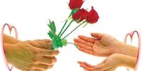 با این 8 راهکار ساده بهترین همسر دنیا شوید
