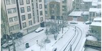 بارش شدید برف در اردبیل/خیابان‌ها و معابر سفیدپوش شدند+فیلم