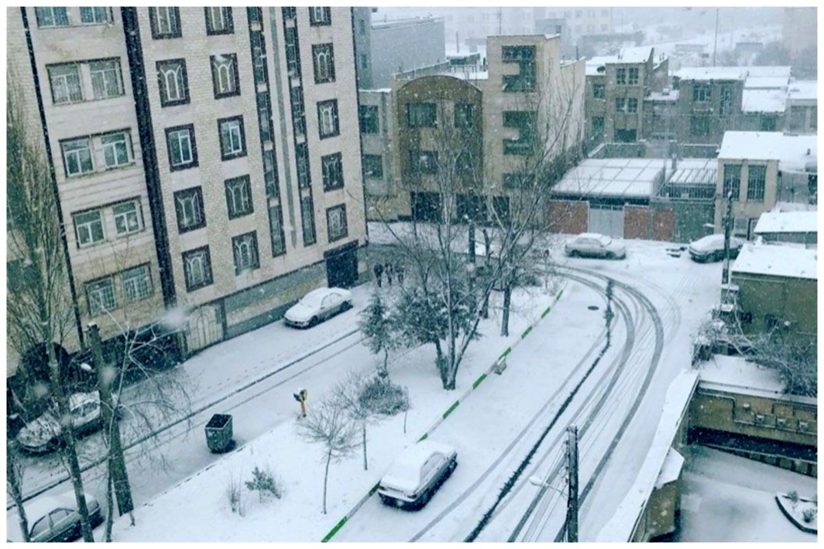 بارش شدید برف در اردبیل/خیابان‌ها و معابر سفیدپوش شدند+فیلم