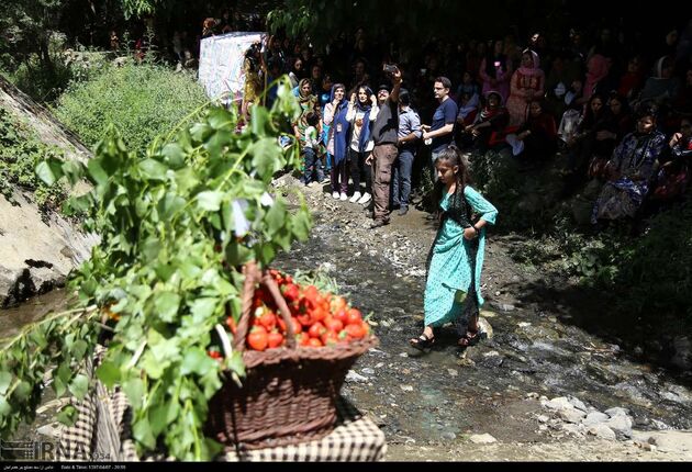 جشنواره توت فرنگی روستای شیان
