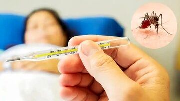 زنگ خطر به صدا درآمد؛ شیوع تب دنگی در این منطقه جدی شد