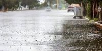 بارش شدید باران در این استان ها