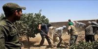 جزئیات جدید از سقوط ۸ نفر به چاه در کوهدشت + تعداد تلفات و فیلم