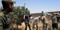 جزئیات جدید از سقوط ۸ نفر به چاه در کوهدشت + تعداد تلفات و فیلم