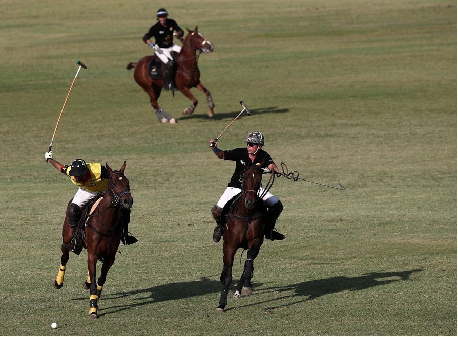 لحظه زمین خوردن اسب و سوارکار در مسابقات چوگان در ایران +تصاویر