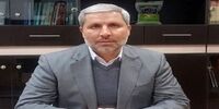 فوری/ مدیر عامل جدید شستا منصوب شد/ علی رستمی کیست؟