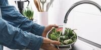 اشتباه رایج در شستشوی سبزیجات


