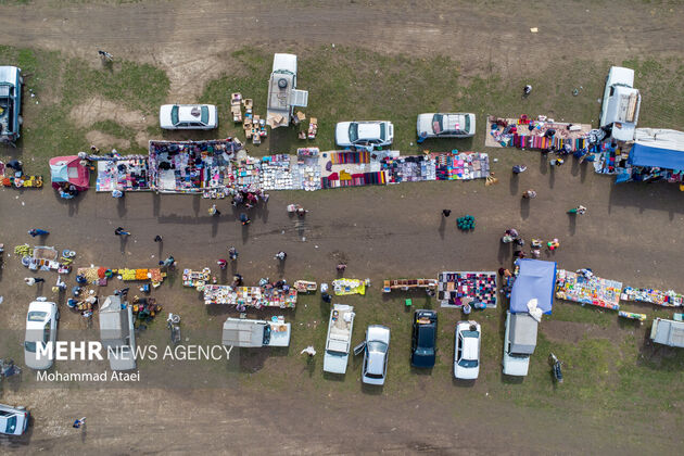 4074238_DJI_0022
