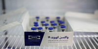 شمارش معکوس برای دسترسی به واکسن ایرانی/ خبرهای خوشی در راه است

