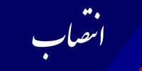 فرماندار جدید شهرستان باشت منصوب شد