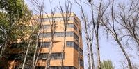سوسک پوستخوار به جان تهران افتاد/ عامل خشک شدن درختان مشخص شد