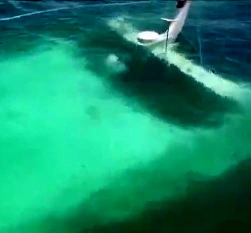 فیلم کشتی غرق شده دنا در جزیره کیش