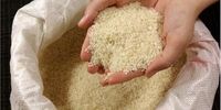 اتفاق مهم در بازار برنج/ برنج ایرانی گران‌تر می‌شود؟