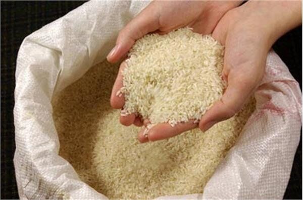 اتفاق مهم در بازار برنج/ برنج ایرانی گران‌تر می‌شود؟