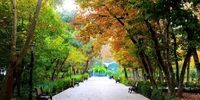 کدام پارک‌های تهران اجازه بازگشایی نیافتند؟
