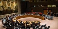  قطعنامه پیشنهادی الجزایر در شورای امنیت برای توقف جنگ در غزه 