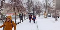 اولین برف زمستانی این دو شهر را سفیدپوش کرد+ فیلم