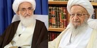 هشدار مراجع تقلید به آمریکا درباره تعرض به رهبر انقلاب / آیت‌الله نوری همدانی: هرگونه تعرض حکم محاربه دارد / آیت‌الله مکارم شیرازی : تهدید رهبری خط قرمز امت اسلامی است