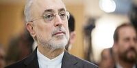 نامه مهم صالحی به مدیرکل آژانس انرژی اتمی