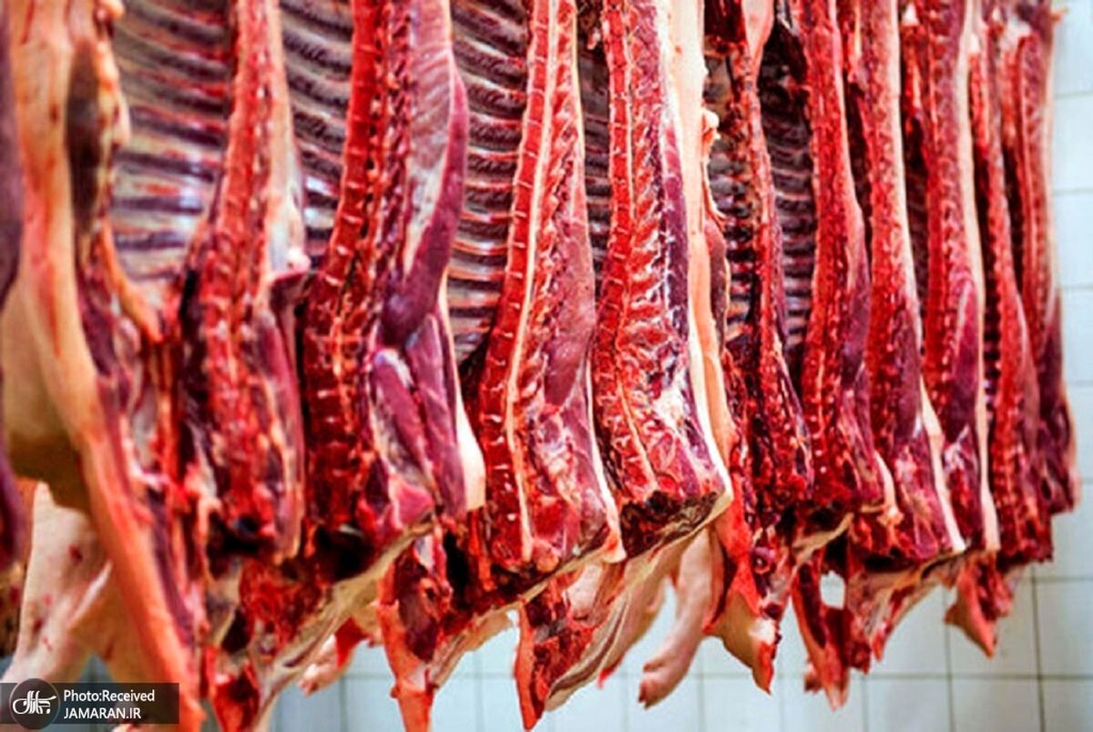  قیمت گوشت قرمز امروز اول مرداد1402+ جدول